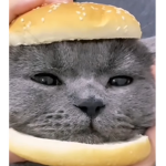 catburbur