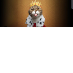 Gatta masha la gatta di roblox