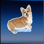 Corgi_Squad