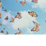Butterfly Aesthetics~