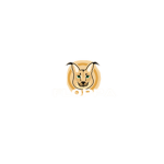 FOXBOY CUP SERIES
