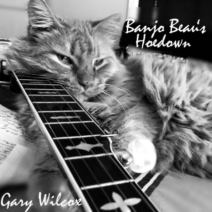 Banjo Beau's Hoedown Roblox music
