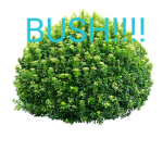 The Bush Group :)