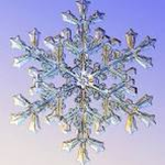 snowflakes besties