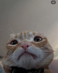 40% 11111111111111