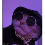 xxipox gang