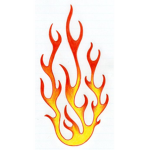D.A.R.K FlaMes