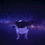 group of Spacedoggy