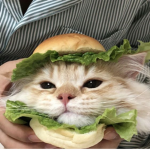 cat'burger