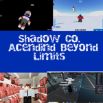 Shadow Company TM