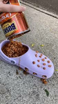 bean croc studios 2