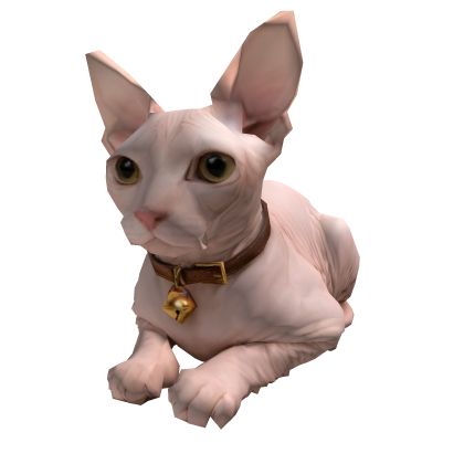 Sphynx cat Hat