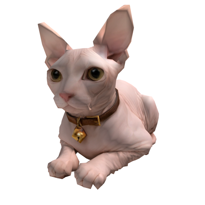 Sphynx cat Hat