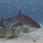 sharkies !!!
