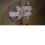 Kitty12