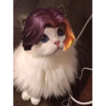 ModelLightPets