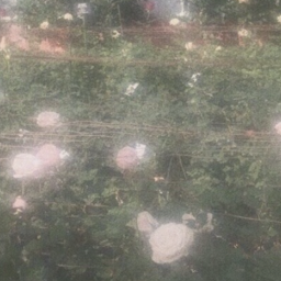 ♡