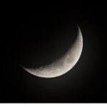 #Moon Biters#