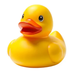 DUCK BATTLES!
