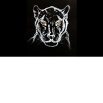 Siyah Panter