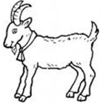 The Mooing Goat