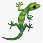 The Lizard peeps