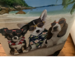 Dog and Tik tock fans or other fans