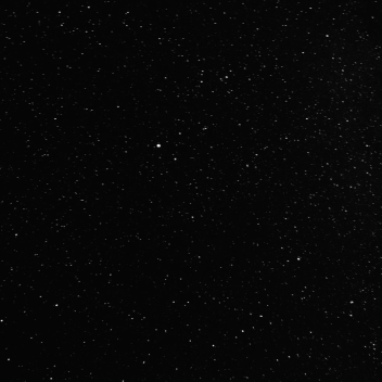 “Let’s sit together and watch the stars die.”