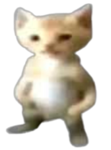 những đóa hoa đáng yêu
