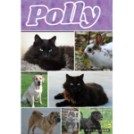 Polly unicorn group