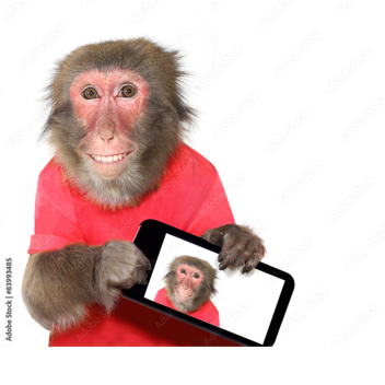 Funny Monkey [OG]