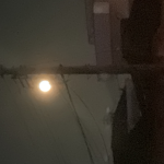 暇人たち