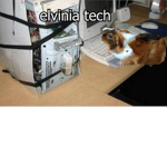 Elvinia studios