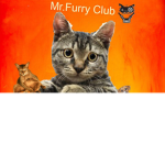 Mr furry club