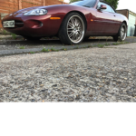 car enthusiast owners/fans club