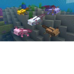 axolotl club 9999