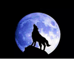 spotlight moonlight aye boy why you tripping with
