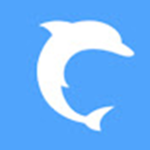 Dolphin sqaud YT