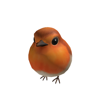 Cute orange bird