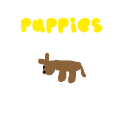 Puppy and dog fans city