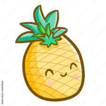 tropiclberrys