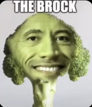 Idk what your here for