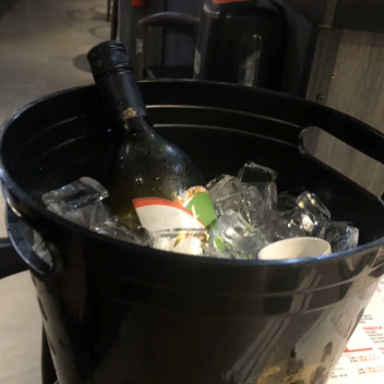 birthday of pumpkinn