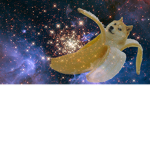#WE ALL DA SLOTHS