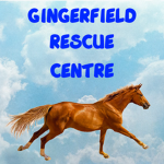 | Gingerfield Rescue centre |