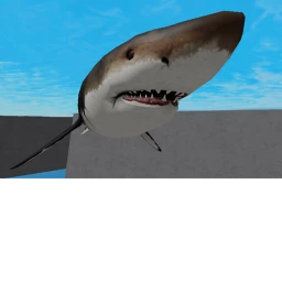 Survive A Shark icon