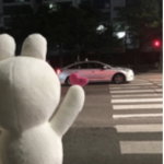 - Trvst -