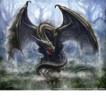 DRAGONS FOR LIFE!