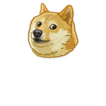 dogeXtreats