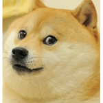 Doges United club